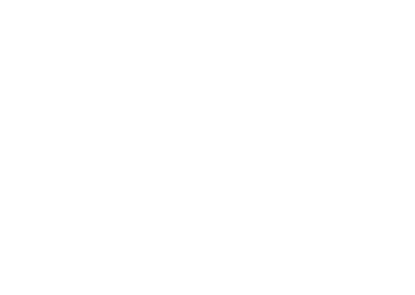 Sparkasse Rosenheim Bad Aibling - Karriere